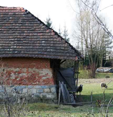 ilustrační foto