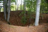 Surface relics of a ore exploitation zone at the vein of Černov, approximately 720 m NE of the excavation site at Cvilínek.